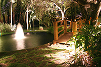 Garden and Pond Lighting